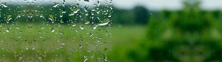 Water beading on ordinary glass and bead free on Neat glass.